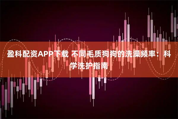 盈科配资APP下载 不同毛质狗狗的洗澡频率：科学洗护指南